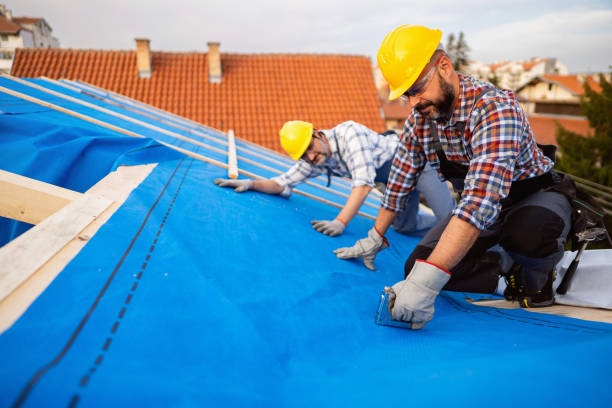 Best Roof Moss and Algae Removal  in Cameron, TX